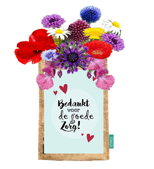 Hangtuintje