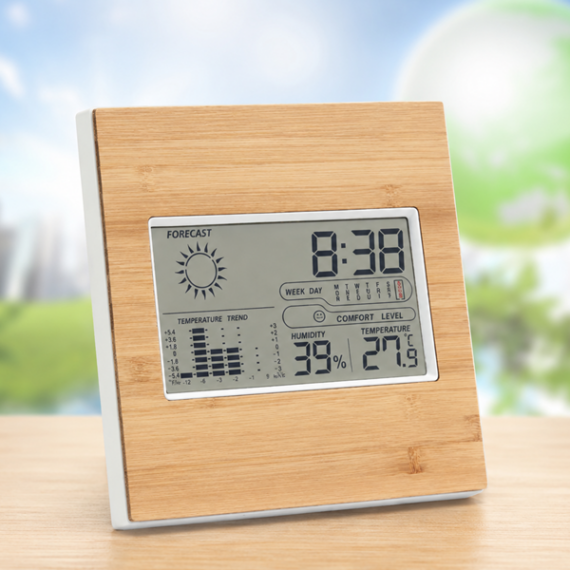 Multifunctionele Thermometer