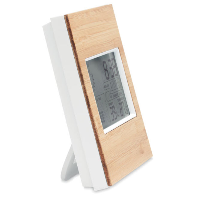 Multifunctionele Thermometer - Afbeelding 2