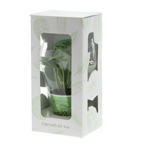 Smiley plant small papercup