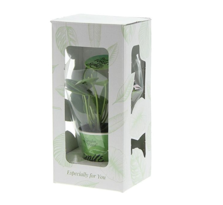 Smiley plant small papercup - Afbeelding 2