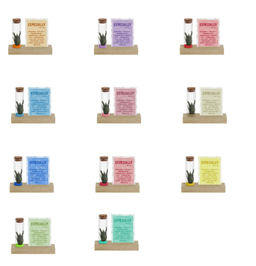 Tiny Treasurez® – Cardholder & tub
